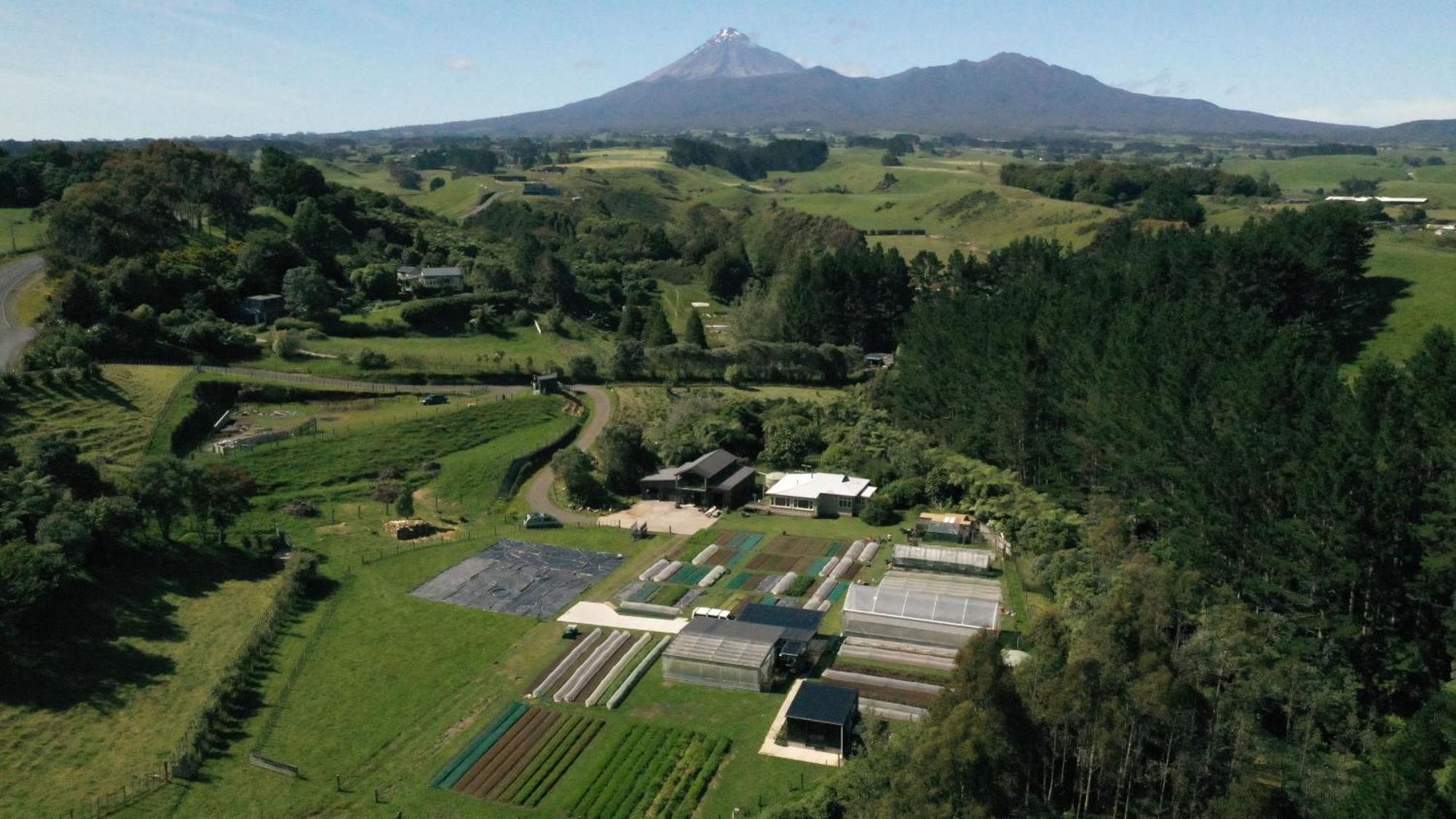 Roebuck Farm Stay New Plymouth Exterior foto